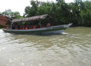 perahu-hutan-mangrove-wonorejo