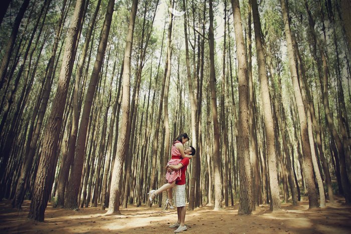 Hasil gambar untuk Foto Romantis ala Twilight di Hutan Pinus Mangunan
